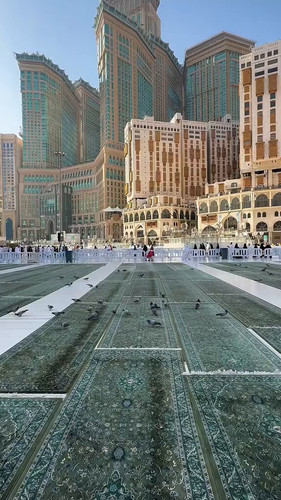 cjB pCvVBD7pJdzN.jpg