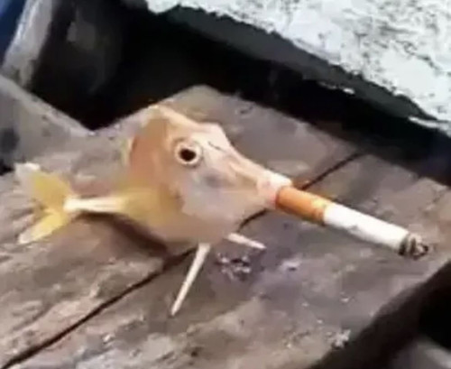 GvDT8YJXoAElqGX.jpg