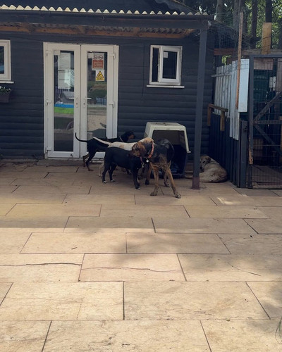 Zrbe DD gVsWZkxx.jpg