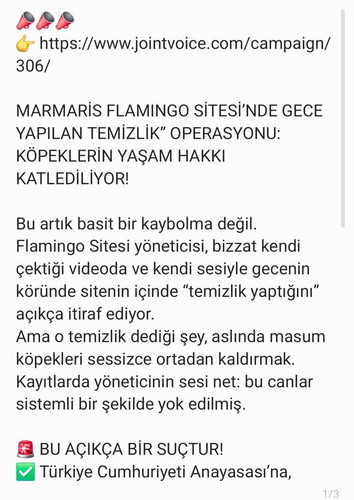 GvE7tU4XkAAzKCT.jpg