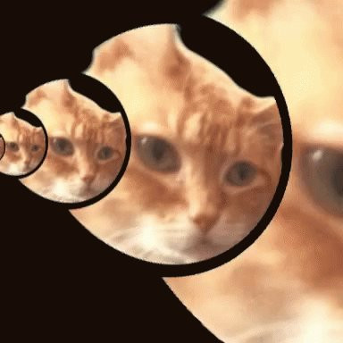 GvAm1IGaQAE sb2.jpg