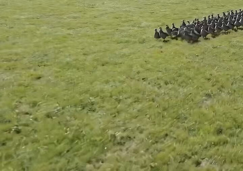 Tu 8vZrk969OTZVn.jpg