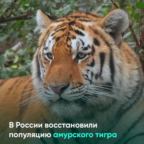 mOVwpbz5V5PEb3bo.jpg