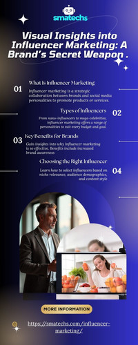 Visual Insights into Influencer Marketing A Brand’s Secret Weapon ..jpg