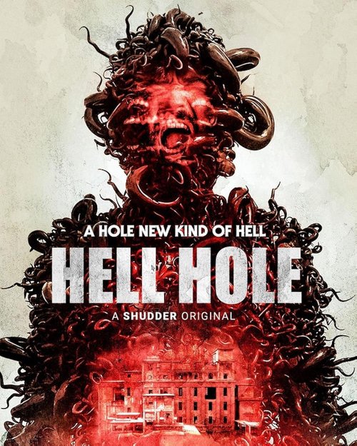 Hell Hole (2024) PL.AI.1080p.WEB-DL.H264-OzW / Lektor PL.AI