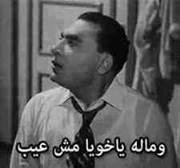 462796472 8759196790798863 6649263110446243554 n.jpg