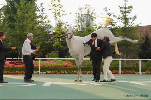 Gu5F TgXkAAkPoR?format=jpg.jpg