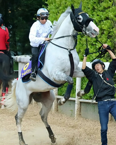 Gu5F YaXsAAbDmk?format=jpg.jpg