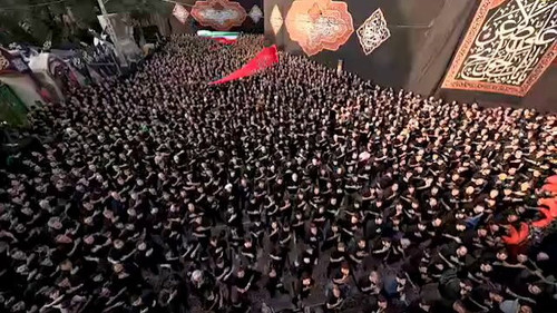 6VAS8ZH gCx83q D.jpg