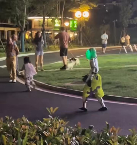 PeSyZZEYp 0pjnJN.jpg