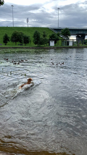 IBiqEC c5viU yl5.jpg