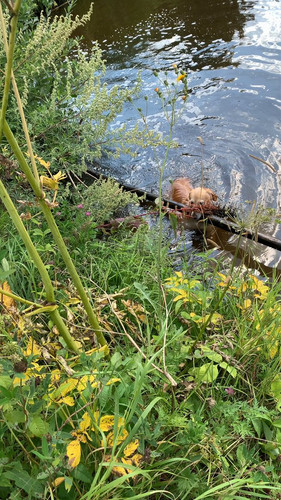 W WAOB9 DGWpVWEu.jpg