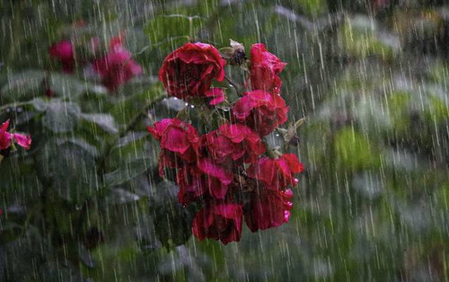 aGA9VM3eoXpIRryxM9BVHdZYMWxhapEyZ8RkH kGw61wmGrXljk0ixLUvnZLLPozEdWNUd ul406NYb9cfePPbzpPNM0dAL657I9.jpg