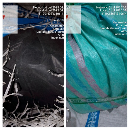 IMG 20250706 044148 COLLAGE.jpg