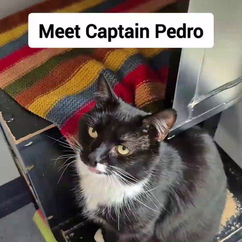 WHnb 5EVLkc2ZFsz.jpg