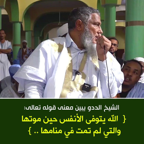 Qb DtePHzyvS1Cmm.jpg