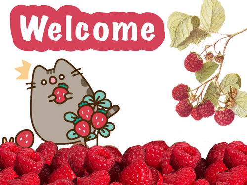 Untitled1218 20250705233230.png