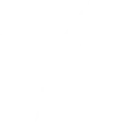 plus compressed.webp