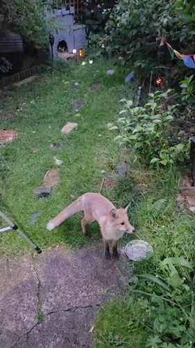 zcgP IUYEde9gC5E.jpg