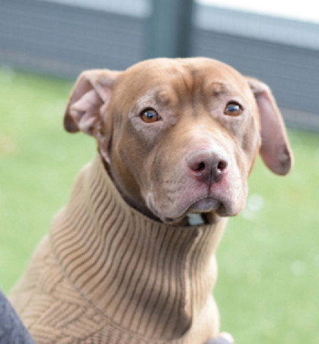 GnoC3FEXkAAwp9 ?format=jpg.jpg