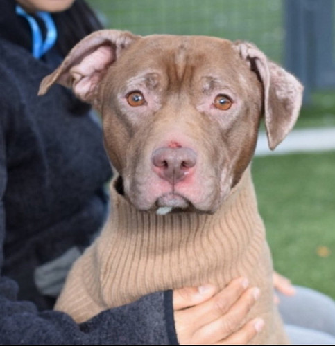 GuS7zBeWwAAyG G?format=jpg.jpg