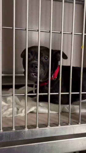 lMK xKeGPVfshaM .jpg