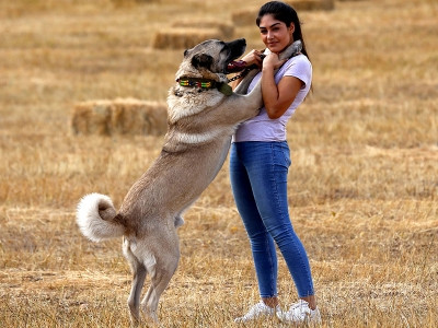 yeni1 34Hc1sdddC.jpg