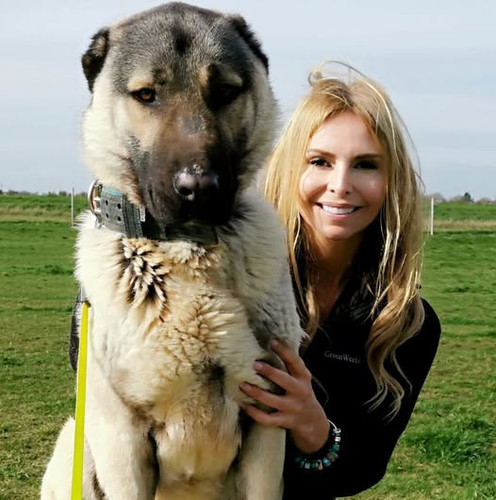 53259833 2345193859096862 1516332865208451072 n.jpg