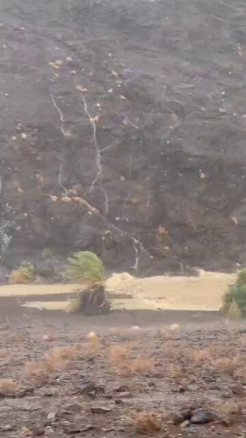 cl9 VoPF7LEMqX08.jpg