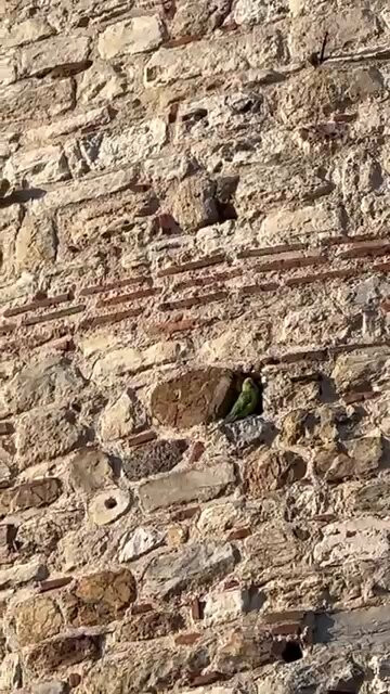 6WptOo2yL4 zn3HO.jpg