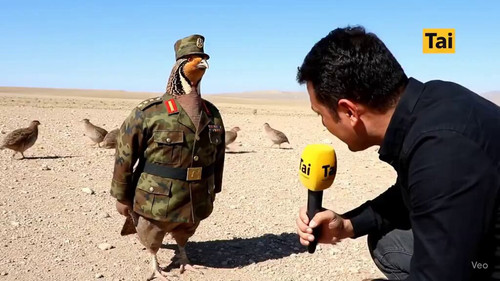 lsAQG1U0ZII3NG60.jpg