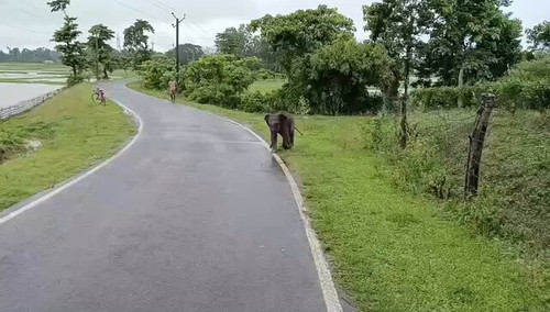 mHzHFexhbjRWNHOn.jpg