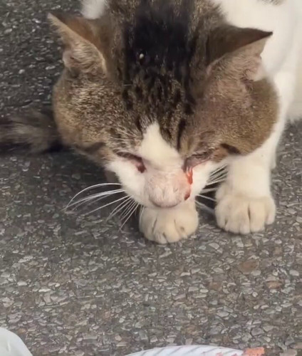 8eVbOO oxKze0lTE.jpg