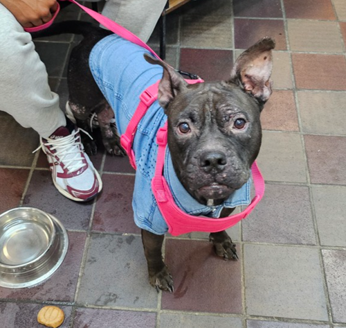 GupVI5gXcAA Fv1?format=png.png