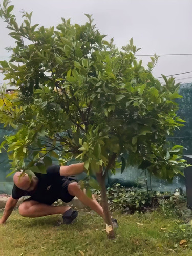 4v yWxilTz2 m17W.jpg