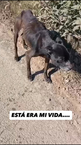 T 6Ho1sPEHRa wH9.jpg