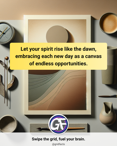 68501929 3905 4fc6 a386 19331fca6429.png