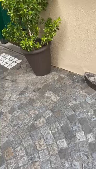 XZeFL8YiSv4yHw d.jpg