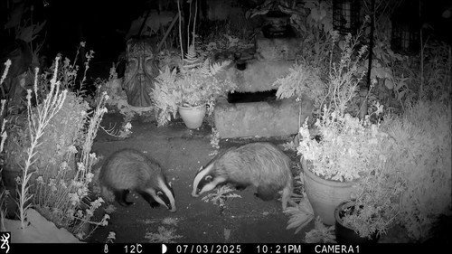 0XBlJrMI7T 6UHaV.jpg