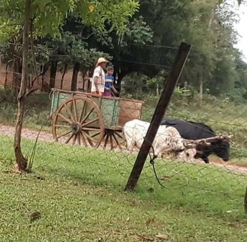 516593167 1373052554830619 79989247531052710 n.jpg?stp=dst jpg p526x296 tt6& nc cat=110&ccb=1 7& nc .jpg