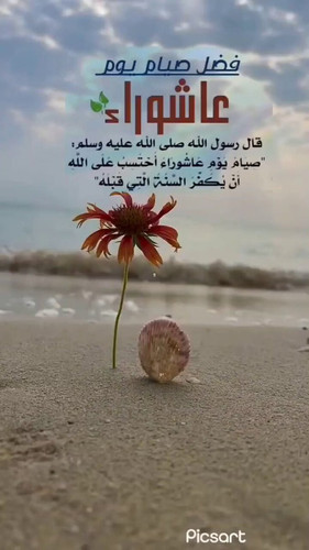 W RLOroqkLN8dgMR.jpg