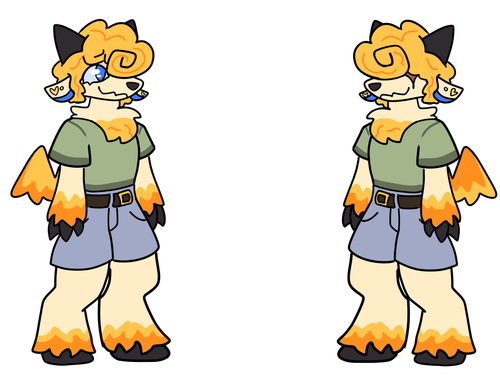 IMG 2671.png