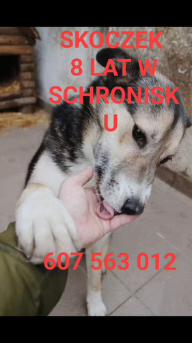 ak54BK0LjsGSDg8A.jpg