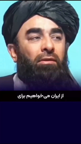 PsEH4 YqINTJwn01.jpg