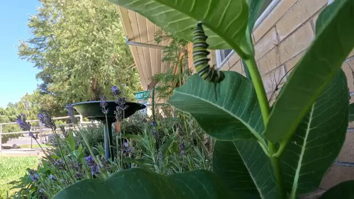 xpbcewVk8g gK8Bq.jpg