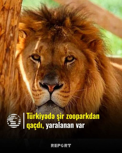 517225215 1038795621795159 7761277912186134378 n.jpg?stp=dst jpg s640x640 tt6& nc cat=106&ccb=1 7& n.jpg