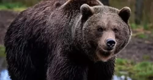 16162965709679523337?url=https%3A%2F%2Flurer.com%2Frs.php%3Fimage%3D%2Fdisc%2F06 07 25%2F7c542a35ef0.jpg