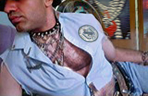 Divo Irresistible.jpg