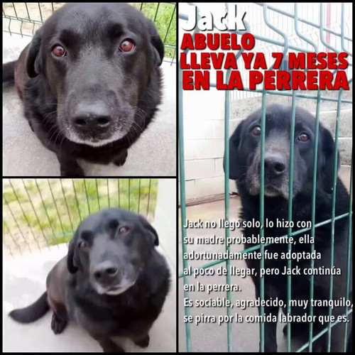 QalzJgyULzVbi Iy.jpg