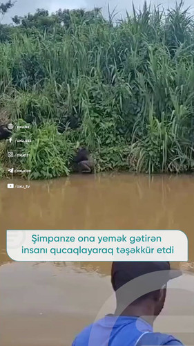 LHEvAJs3hM1cZxg9.jpg